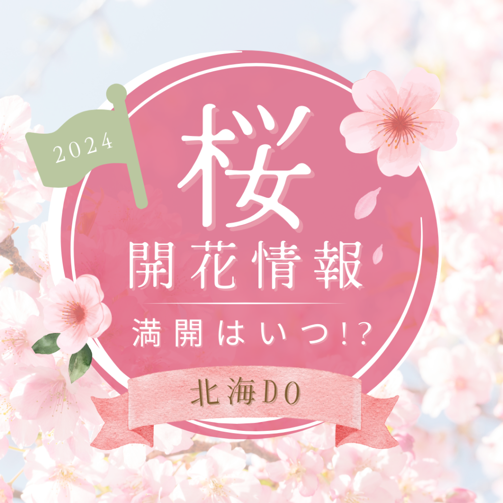 2024年桜開花はいつ!?北海道各地の開花予想をお届け♪
